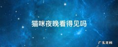 猫咪夜晚看得见吗 猫在夜晚能看到吗