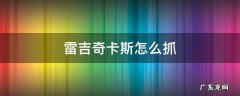 雷吉奇卡斯怎么抓 口袋妖怪究极绿宝石雷吉奇卡斯怎么抓