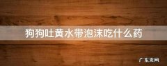 狗狗吐黄水带泡沫吃什么药 狗狗吐黄水带泡沫但是精神很好