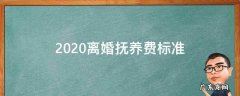 2020年离婚法抚养费最新规定 2020离婚抚养费标准