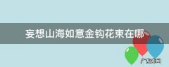 妄想山海如意金钩花束在哪 妄想山海金色花束