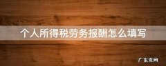 一般劳务报酬所得如何申报个人所得税 个人所得税劳务报酬怎么填写