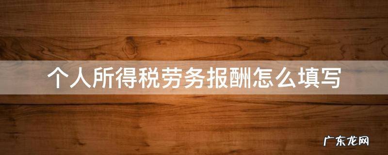 一般劳务报酬所得如何申报个人所得税 个人所得税劳务报酬怎么填写