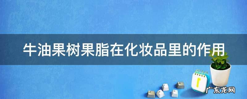 牛油果树果脂在化妆品里的作用与功效 牛油果树果脂在化妆品里的作用
