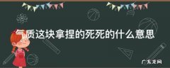 夸赞一个人气质好 气质这块拿捏的死死的什么意思