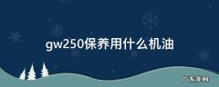 gw250大保养需要保养什么 gw250保养用什么机油