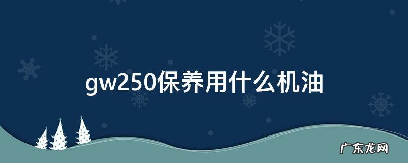 gw250大保养需要保养什么 gw250保养用什么机油