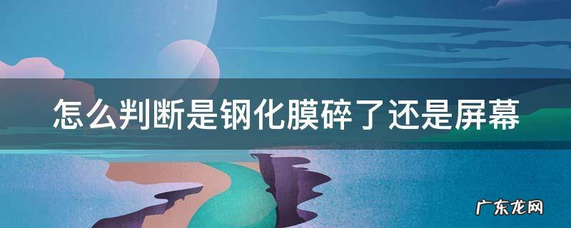 怎么判断是钢化膜碎了还是屏幕 怎么判断是钢化膜碎了还是屏幕碎了