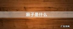 麻子是什么 麻子是什么病