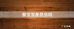 蚕宝宝是昆虫类吗 蚕宝宝是昆虫吗