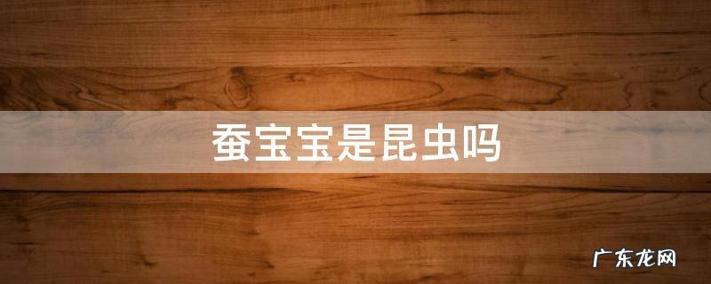 蚕宝宝是昆虫类吗 蚕宝宝是昆虫吗