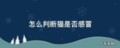 怎样判断猫有没有感冒 怎么判断猫是否感冒