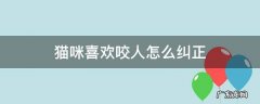 猫咪喜欢咬人怎么办 猫咪喜欢咬人怎么纠正