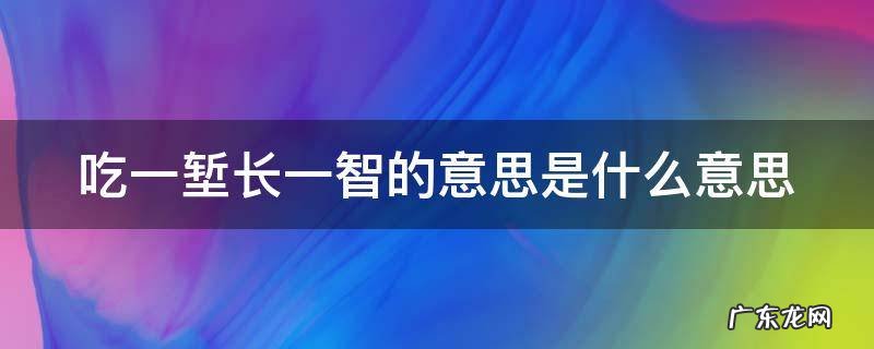吃一堑长一智的意思是什么意思视频 吃一堑长一智的意思是什么意思