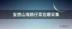 妄想山海里鹅仔菜去哪里找 妄想山海鹅仔菜在哪采集