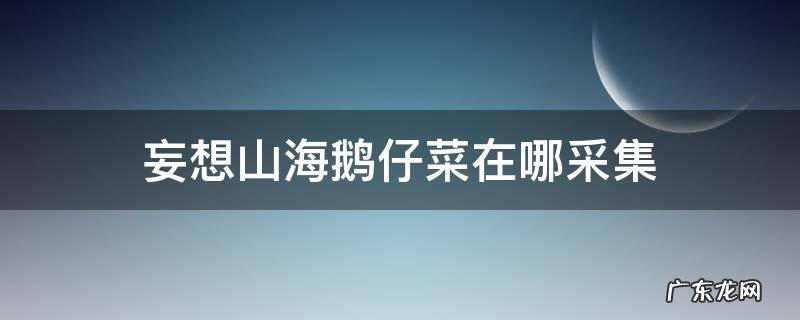 妄想山海里鹅仔菜去哪里找 妄想山海鹅仔菜在哪采集
