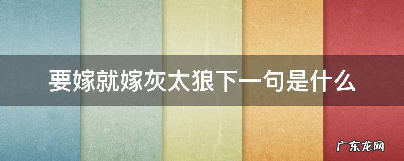 嫁人就嫁灰太狼下一句 要嫁就嫁灰太狼下一句是什么