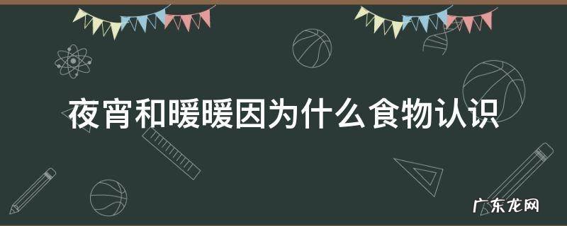 夜宵和暖暖因为什么食物认识 夜宵和暖暖因为什么食物认识的
