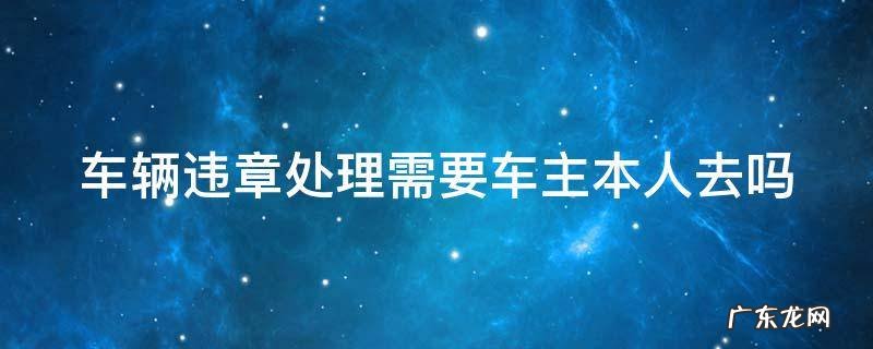 车辆违章处理需要车主本人去吗 朋友开我车扣了6分怎么办