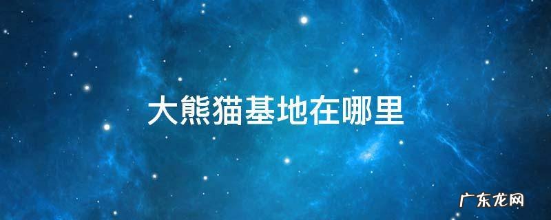 陕西大熊猫基地在哪里 大熊猫基地在哪里