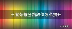 王者荣耀分路段位怎么提升 王者荣耀各分路段位怎么提高
