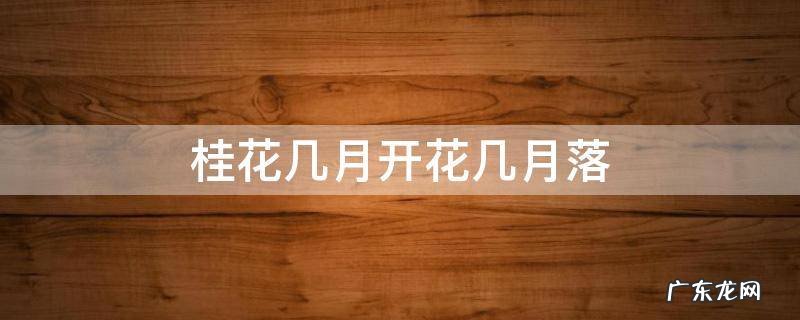 桂花几月开花几月落花 桂花几月开花几月落