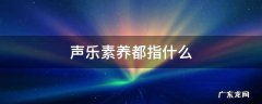 声乐素养都指什么 什么叫音乐素养