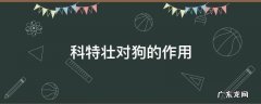 科特壮对狗有副作用 科特壮对狗的作用