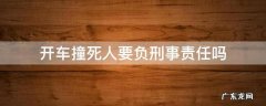 开车撞死人要负刑事责任吗 开车撞死人什么情况下需要承担刑事