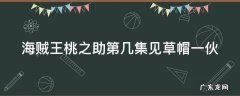 海贼王桃之助第几集见草帽一伙 海贼王桃之助第几集见草帽一伙的人