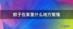 蚊子在家里什么地方繁殖 蚊子在哪里繁殖