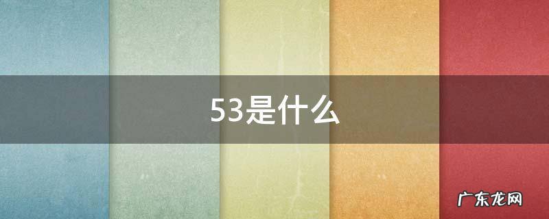 53是什么 53是什么意思网络语言