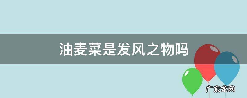 油麦菜是发风之物吗 油麦菜菜是发物吗