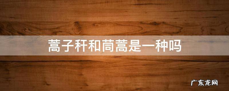 蒿子秆和茼蒿是一种吗 茼蒿和蒿子秆有啥区别
