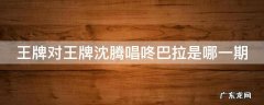 王牌对王牌沈腾唱咚巴拉是哪一期