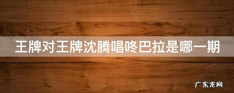 王牌对王牌沈腾唱咚巴拉是哪一期