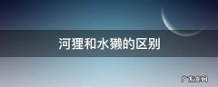 河狸和水獭的区别 水獭和水狸的区别