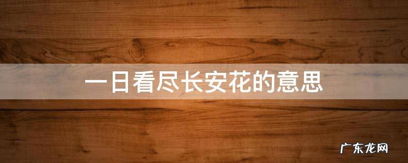 一日看尽长安花的意思 马蹄疾一日看尽长安花的意思