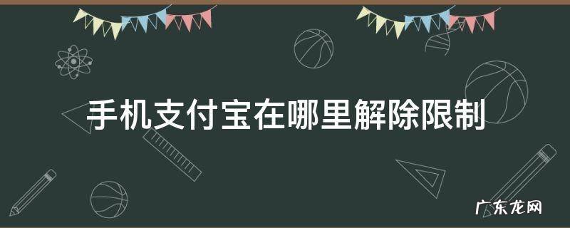 手机支付宝在哪里解除限制 手机怎么解除支付宝限制
