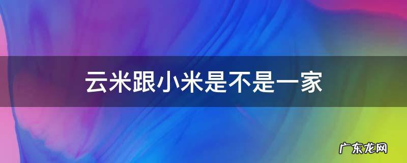 云米也是小米吗 云米跟小米是不是一家
