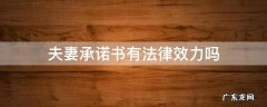 承诺书有法律效力吗 夫妻承诺书有法律效力吗