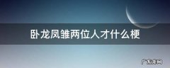 卧龙凤雏两位人才什么梗 卧龙凤雏两位人才是什么意思