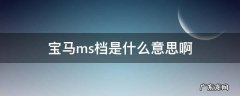 宝马5系ms档是什么意思 宝马ms档是什么意思啊