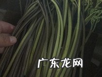 素炒野生蕨菜的做法