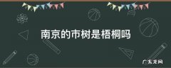 梧桐树是南京的市树吗 南京的市树是梧桐吗