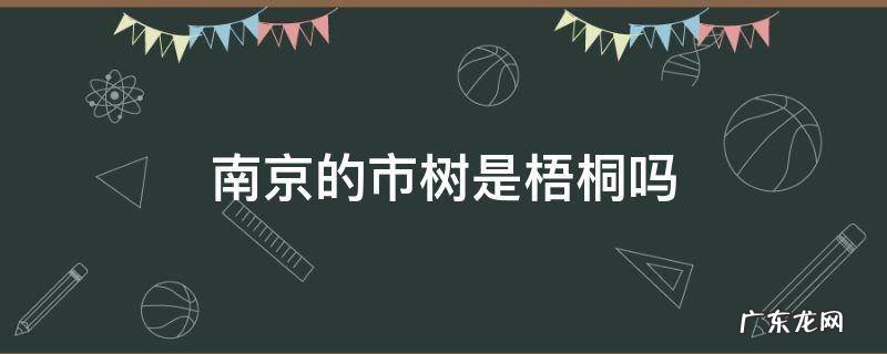 梧桐树是南京的市树吗 南京的市树是梧桐吗
