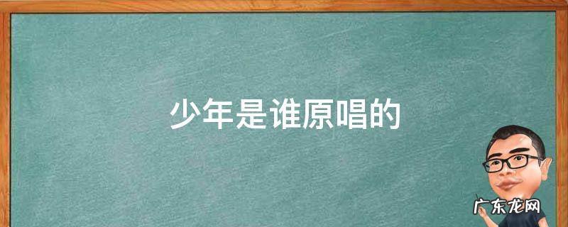 歌曲少年的原唱是谁 少年是谁原唱的