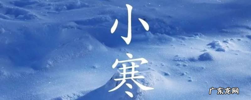 小寒代表什么肖 小寒代表什么