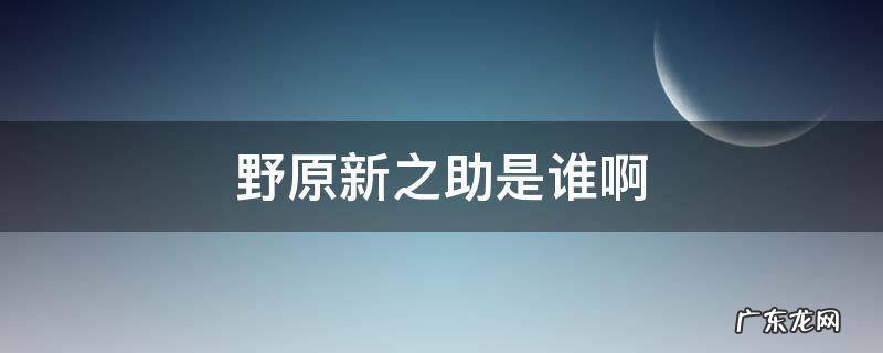 野原新之助是谁啊 野原新之助是谁?
