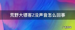 荒野大镖客2没声音怎么回事 荒野大镖客2连音响没声音